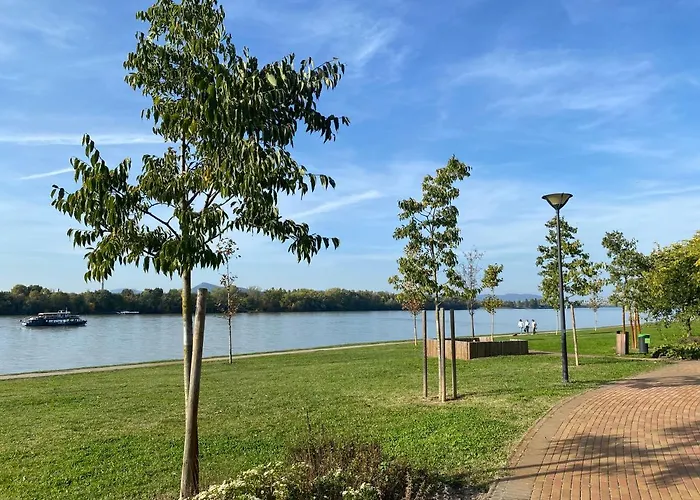 Comfortable Place On The Marina Port *